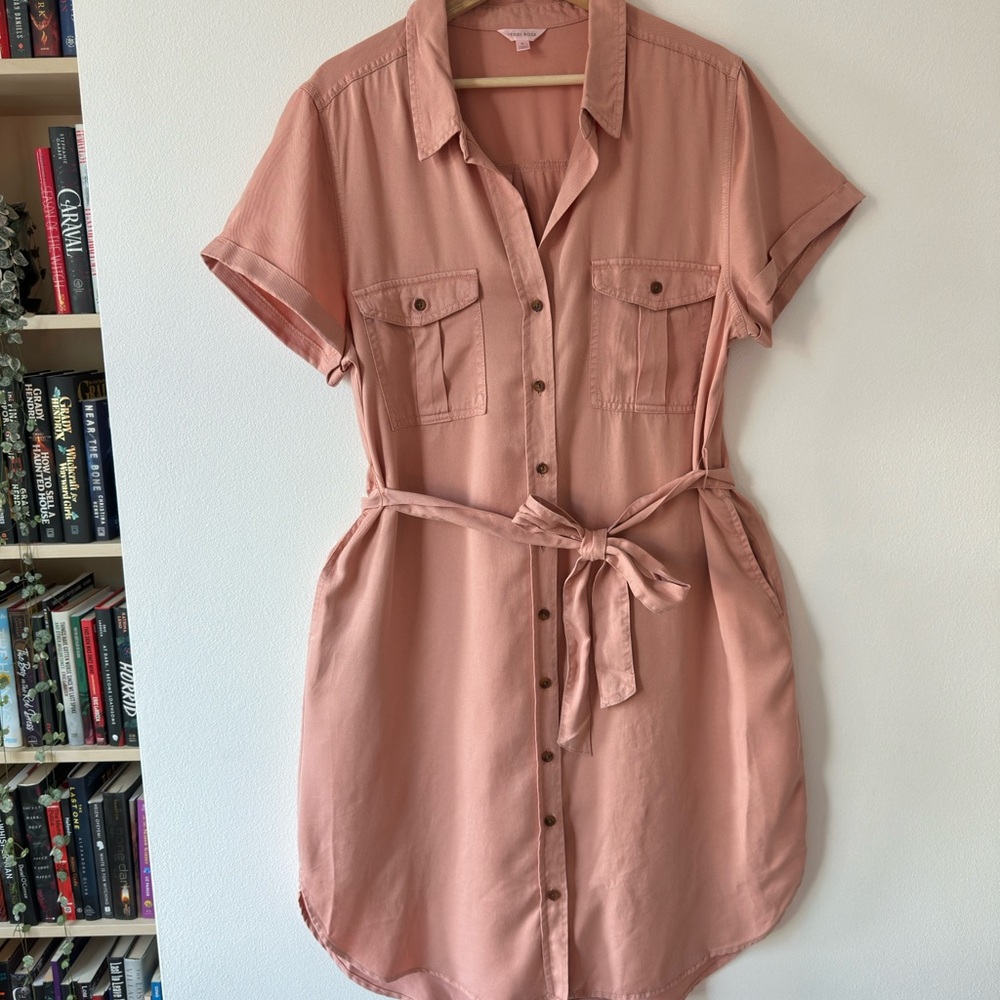 Elegant Blush Button-Up Shirt Dress
